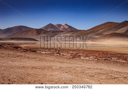 Volcanoes Licancabur And Juriques, Moon Valley, Atacama, Chile