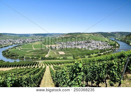 Leiwen Village On The Mosell Ein Germany