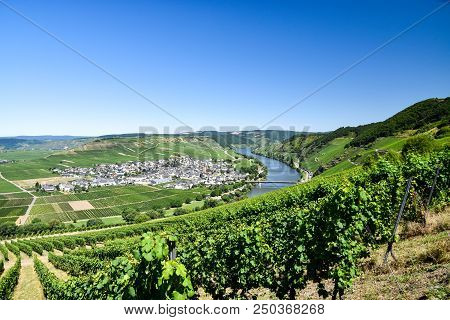 Leiwen Village On The Mosell Ein Germany