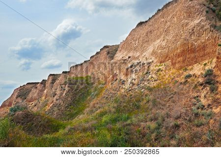 wildflowers on high coast by the sea, beautiful summer landscape, travel concept