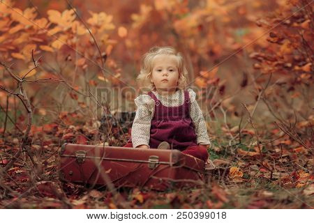 Little Cute Blonde Girl Sits In Autumn Park And Looks In An Old Suitcase