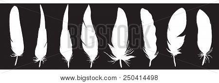 Ser Of Detailed Feather Silhouettes. Laconic And Stylish Illustration. Monochrome Vector