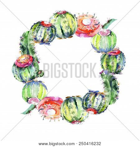 Wildflower Green Cactus. Floral Botanical Flower. Frame Border Ornament Square. Aquarelle Wildflower