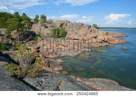A July Day On The Rocks Of The Peninsula Of Hanko. Southern Finland