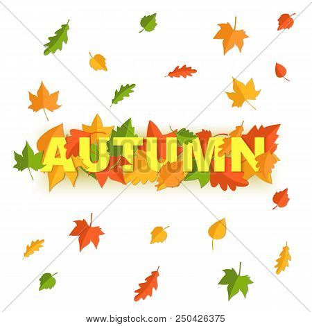 Word Autumn Composition With Green Yellow Red Leaves On White Background In Paper Cut Style. Fall Le
