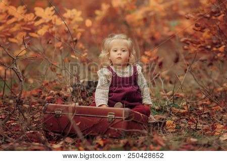 Little Cute Blonde Girl Sits In Autumn Park And Looks In An Old Suitcase