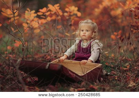 Little Cute Blonde Girl Sits In Autumn Park And Looks In An Old Suitcase