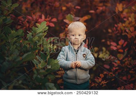 Portrait Of A Small Cute Boy In A Warm Autumn Sweater, Stands Near The Bushes