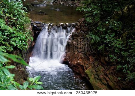 Small Waterfall In The Monteverde Cloud Forest, Costa Rica