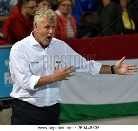 Budapest, Hungary - Jul 27, 2017. Gerendas Gyorgy Coach Of Hungary Men Waterpolo Team In The Semifin
