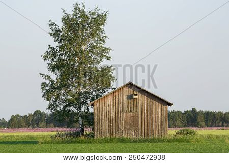 Barn In Farmfield By Tree With A Blue Sky.