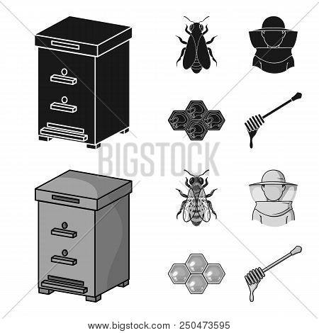 The Bee, The Bee-keeper In The Mask, The Honeycomb Of The Honey.apiary Set Collection Icons In Black