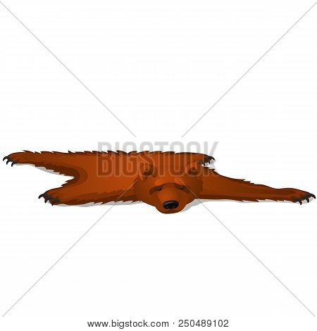 Brown Bear Skin Isolated On White Background. Vector Cartoon Close-up Illustration