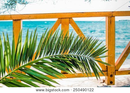Sea View And Palm Leaves