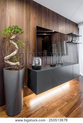 Moscow - March 25, 2018: Modern Stylish Home Interior With Tv And Flower. Wood Finish In Interior De