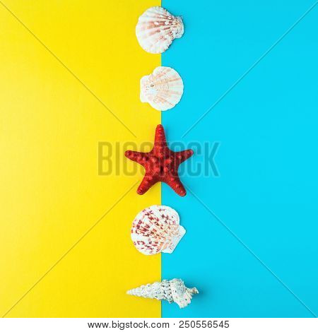 Seashells And Starfish Laid Out In A Line. Summer Minimal