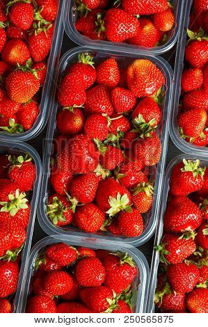 Close Up Of Fresh Red Ripe Strawberries In Transparent Plastic Container Boxes On Retail Market Disp