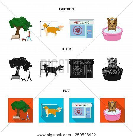 Walking With A Dog In The Park, Combing A Dog, A Veterinarian Office, Bathing A Pet. Vet Clinic And 