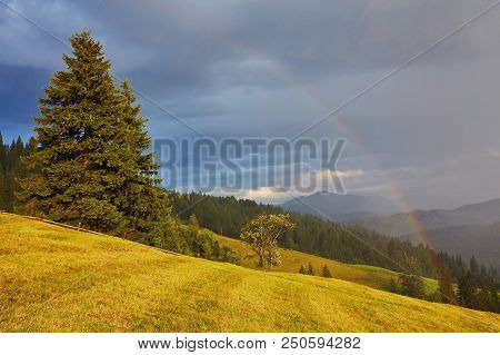 Unbelievable Beautiful Rainbow Above The Snowy Alpine Mountains And Pine Forest