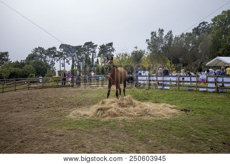 Porto, Portugal, September 24, 2017: Autumn party at the Serralves Foundation, with hundreds of chil