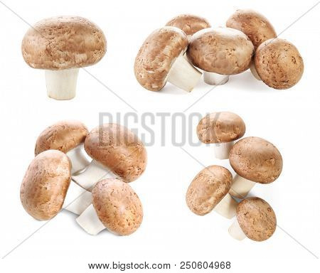 Set of raw cremini mushrooms on white background