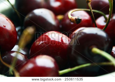 A Plate Of Sweet Ruby Cherry Macro