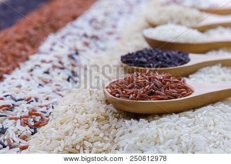 Five Kinds Of Rice On Wooden Spoon.