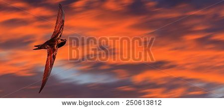 High-speed Bird Flying Against A Beautiful Sky, Symbol Of Speed