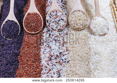 Five Kinds Of Rice On Wooden Spoon.