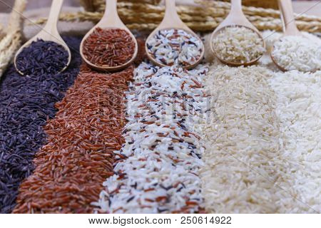 Five Kinds Of Rice On Wooden Spoon.