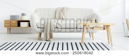 Real Photo Of Living Room Interior With Wooden Cupboard With Boxes, Blanket On Bright Sofa, Coffee T