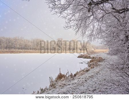 Beautiful Winter Landscape In The City Park.