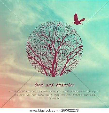 Square Banner With Crows And Tree Branches. Template For Postcard, Poster Or Advertisement