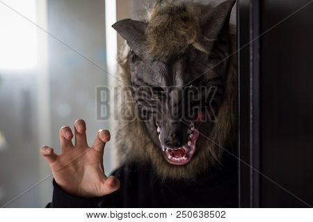 Woman Or Man With Wolf Mask And Black Dress Costume In Dark Room With Rim Light From Window. Scary M
