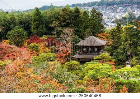 Top View Of Ginkakuji Temple In Autumn