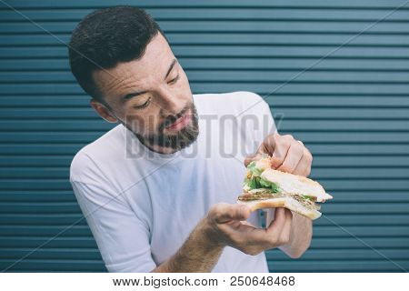 Brunette And Bearded Man Is Holding Sandwich And Showing All Vegetables That Are In Between Two Piec