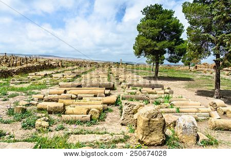 Timgad, Ruins Of A Roman-berber City, Unesco Heritage In Algeria.