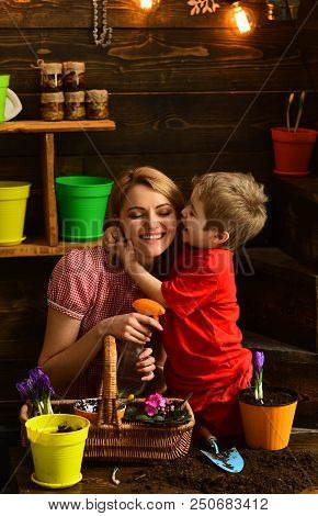 8 March Concept. Little Child Kiss Mother On 8 March. Son Kiss Mother On 8 March. Happy 8 March Cele