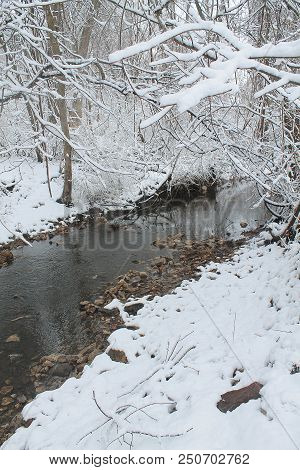 A Creek Surrounded By Trees And Covered With Snow