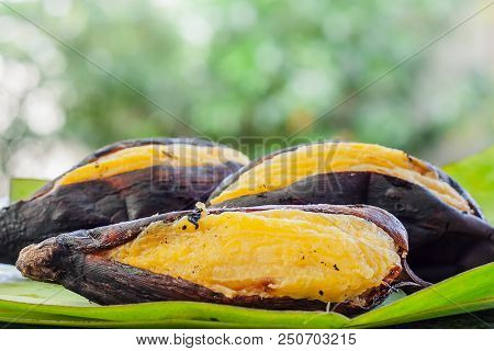 Delicious Grill Silver Bluggoe Banana On Banana Leaf Against Blurred Natural Green Background For Th