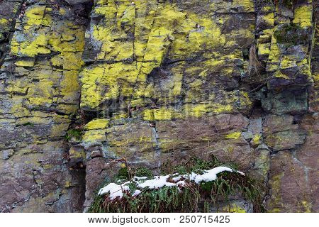 Big Mountain Rock Stones, Covered With Lichen. Closeup Of A Rock Surface With Lots Of Green Lichen (