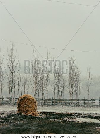 Winter hooiberg