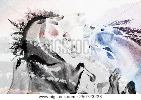 Abstract Watercolor Paintings The Brush Stroke Colorful Of Horse Herd On Paper. Modern Art Impressio