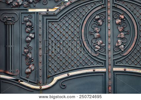 Beautiful Decorative Metal Elements Forged Wrought Iron Gates