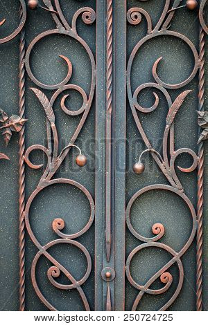 Beautiful Decorative Metal Elements Forged Wrought Iron Gates