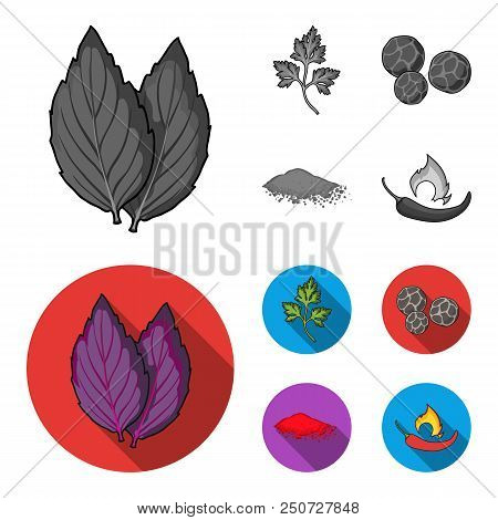 Ptrushka, Black Pepper, Paprika, Chili.herbs And Spices Set Collection Icons In Monochrome, Flat Sty