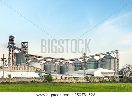 Silo In Food Industry, Argiculture, Behind Rice Field With Clear Sky