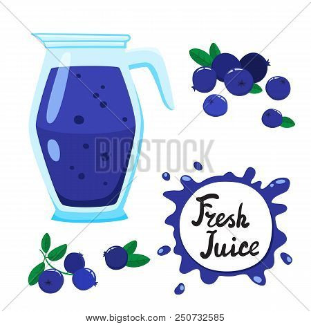 Juice With Blueberry In A Glass Jug, Vector Cartoon Card With Fresh Berries And Smothie Isolated On 