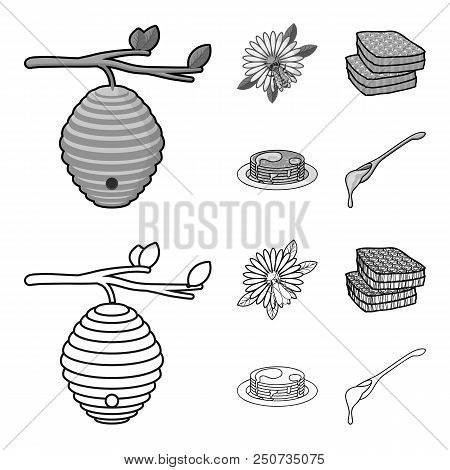 A Hive On A Branch, A Bee On A Flower, A Honeycomb With Honey, A Honey Cake.apiary Set Collection Ic