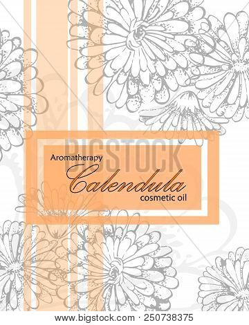Template Cover For Cosmetic Oil Of Calendula With Frame. Spa Concept